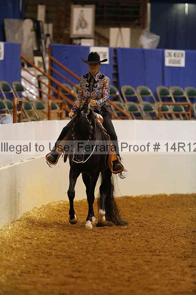 Proof Number 14r12_1519