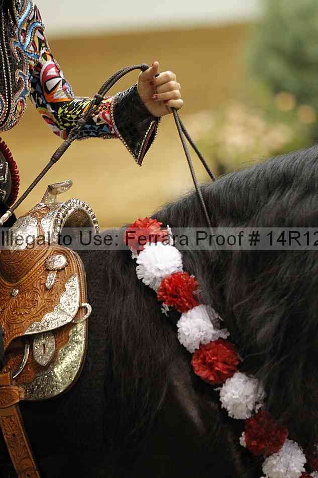 Proof Number 14r12_1528