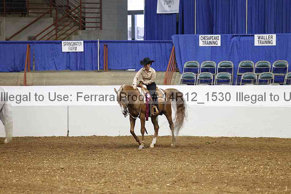 Proof Number 14r12_1530