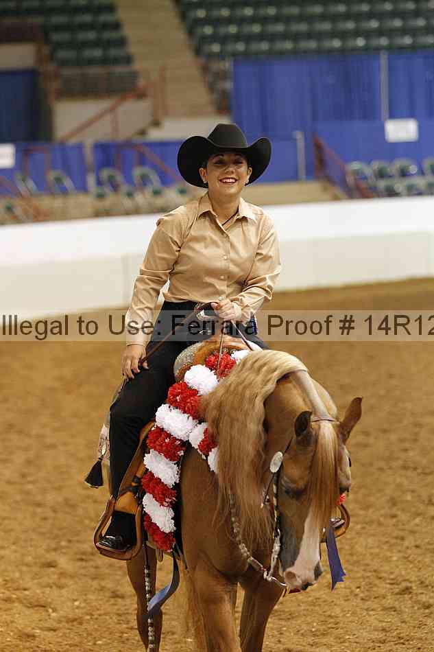 Proof Number 14r12_1537