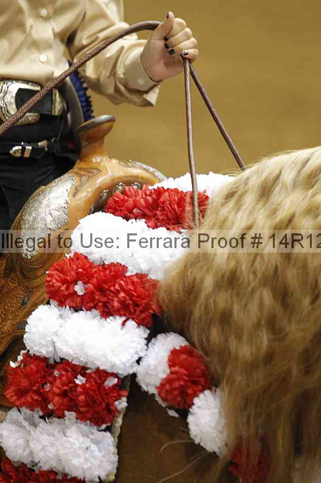 Proof Number 14r12_1538