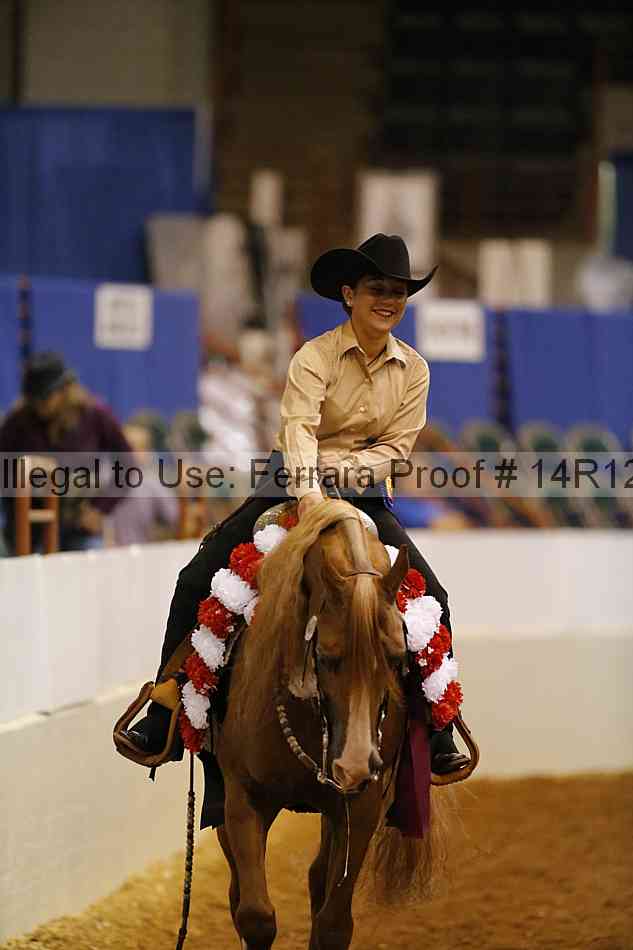 Proof Number 14r12_1541