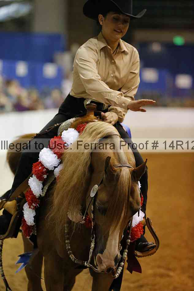 Proof Number 14r12_1568