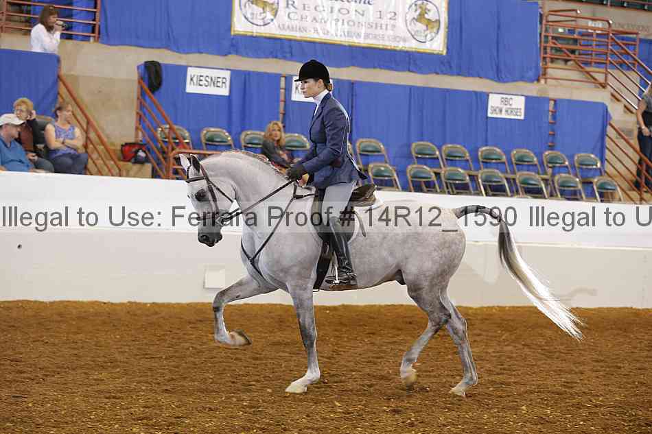 Proof Number 14r12_1590