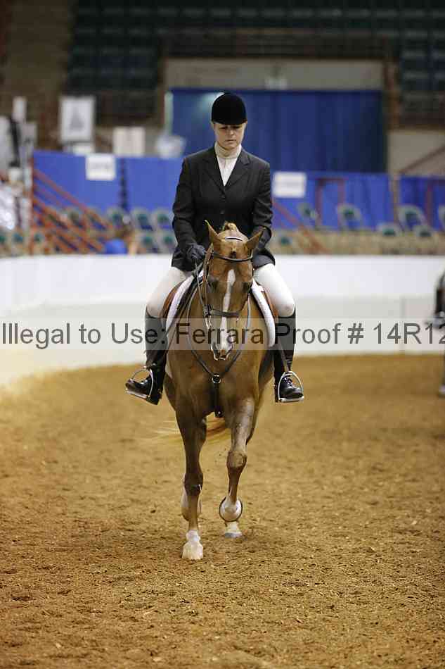 Proof Number 14r12_1593