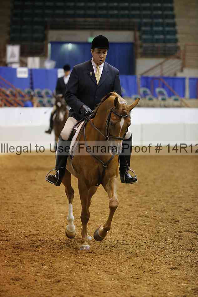 Proof Number 14r12_1597