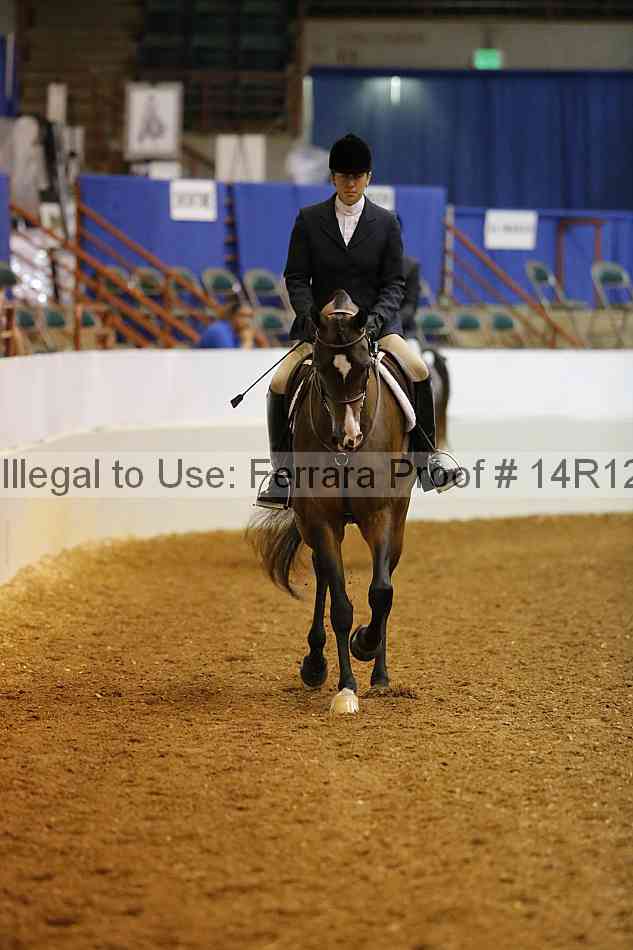 Proof Number 14r12_1599