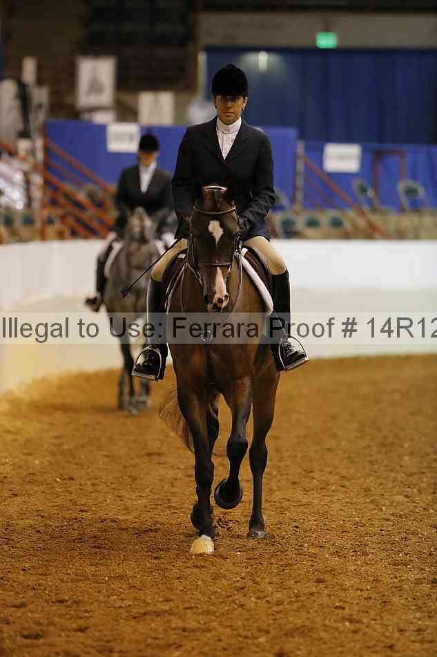 Proof Number 14r12_1601