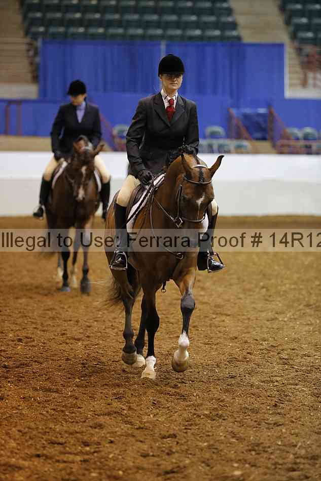 Proof Number 14r12_1604