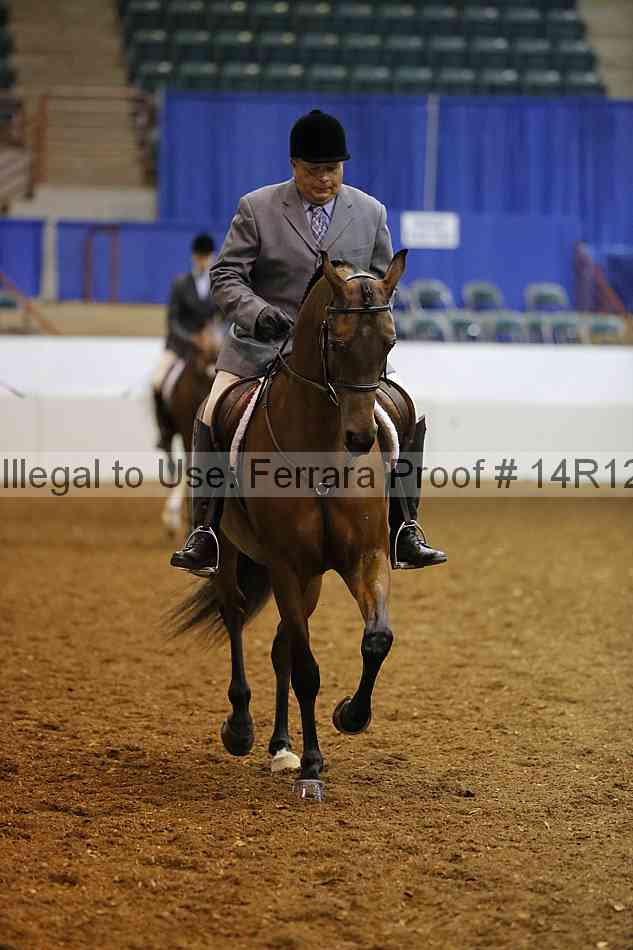 Proof Number 14r12_1606