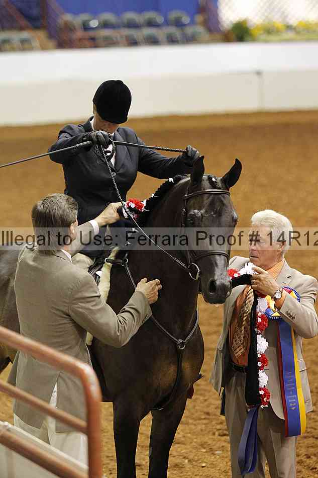 Proof Number 14r12_1621