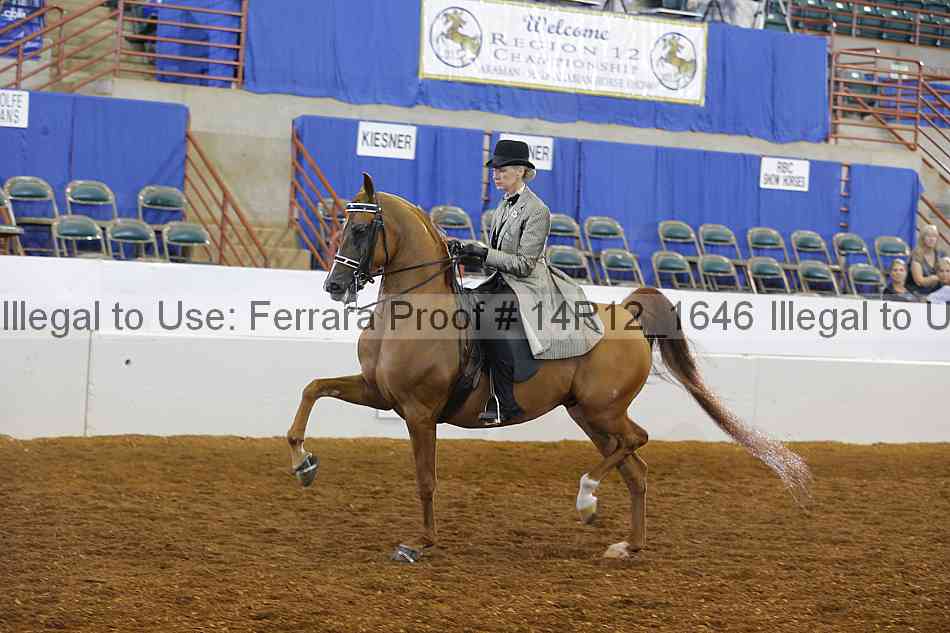 Proof Number 14r12_1646