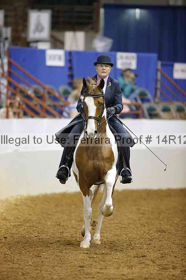 Proof Number 14r12_1655