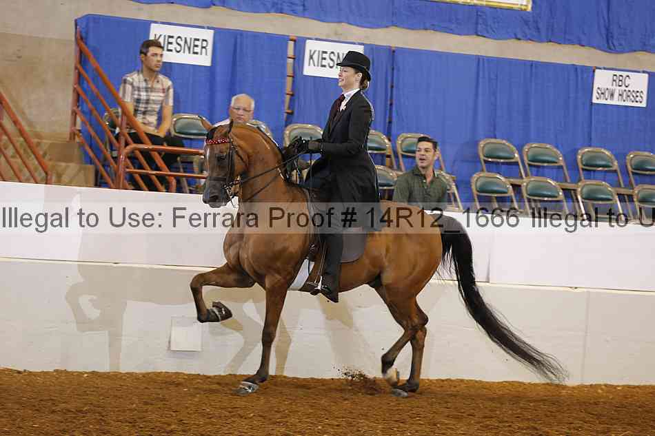 Proof Number 14r12_1666