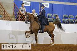 14r12_1669 thumbnail