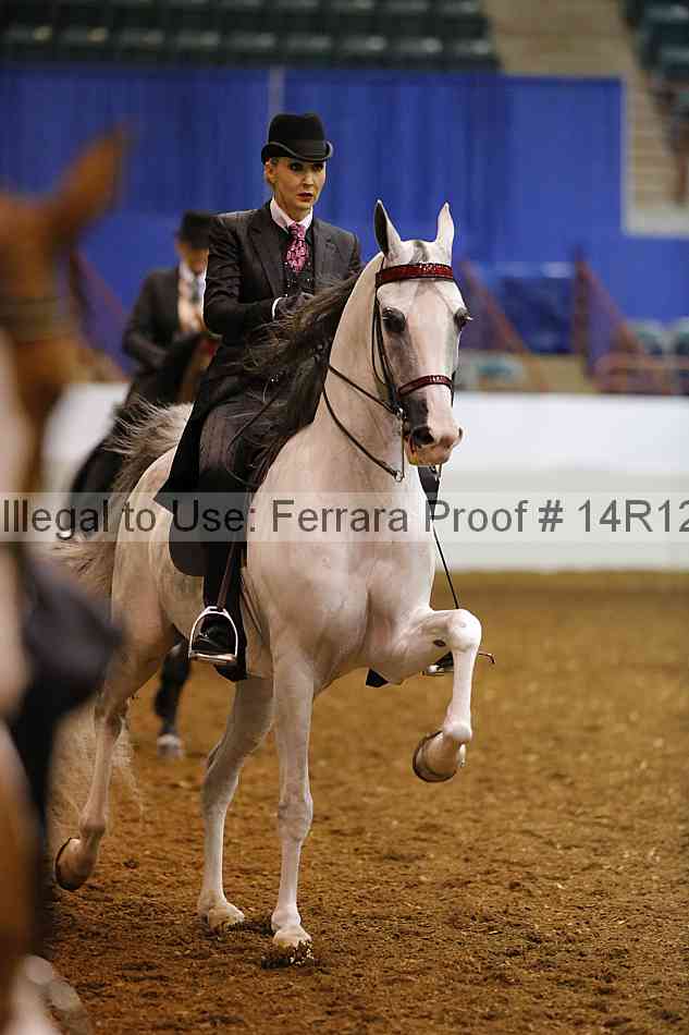 Proof Number 14r12_1670