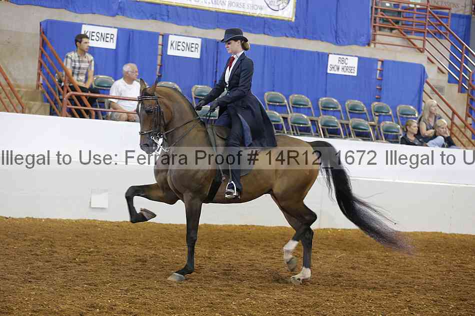 Proof Number 14r12_1672