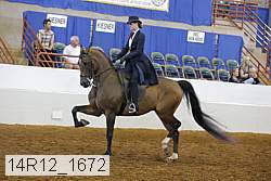 14r12_1672 thumbnail