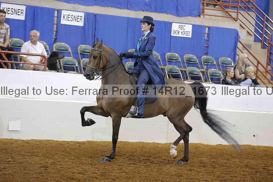 Proof Number 14r12_1673