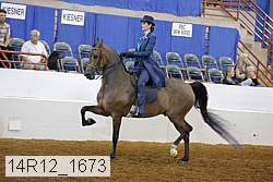 14r12_1673 thumbnail