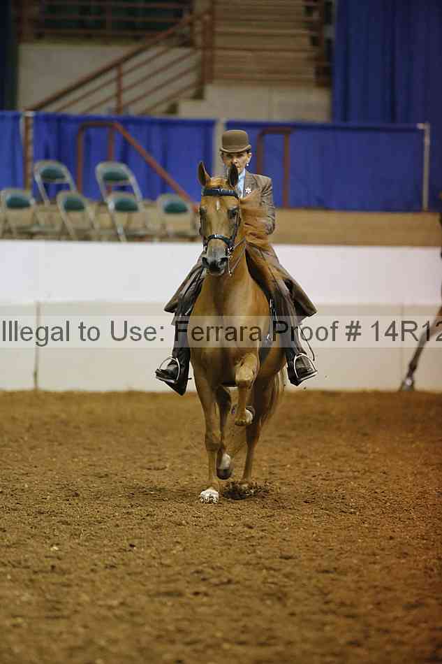 Proof Number 14r12_1674