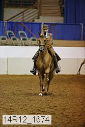 14r12_1674 thumbnail