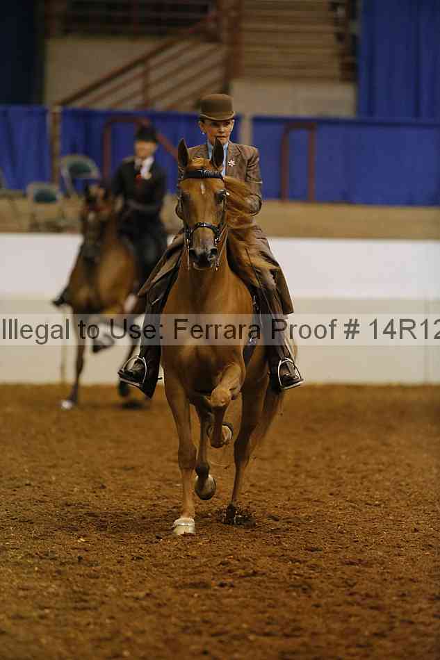 Proof Number 14r12_1675