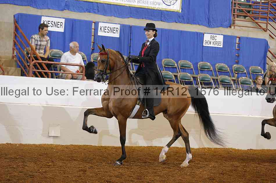 Proof Number 14r12_1676
