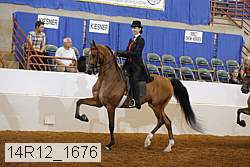 14r12_1676 thumbnail