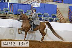 14r12_1678 thumbnail