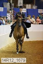 14r12_1679 thumbnail