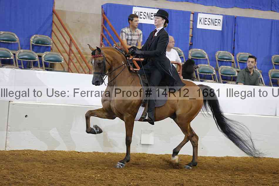 Proof Number 14r12_1681