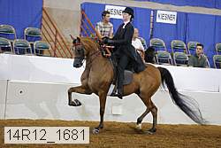 14r12_1681 thumbnail