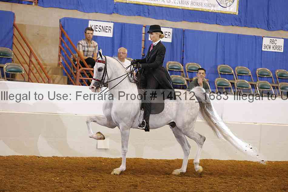 Proof Number 14r12_1683