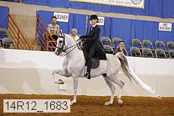 14r12_1683 thumbnail