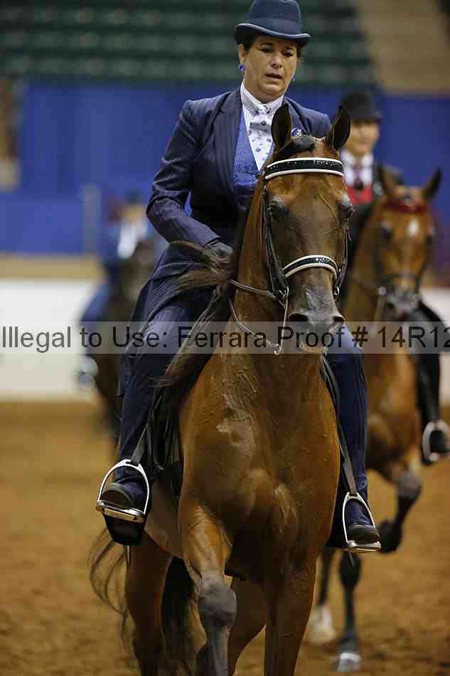 Proof Number 14r12_1684