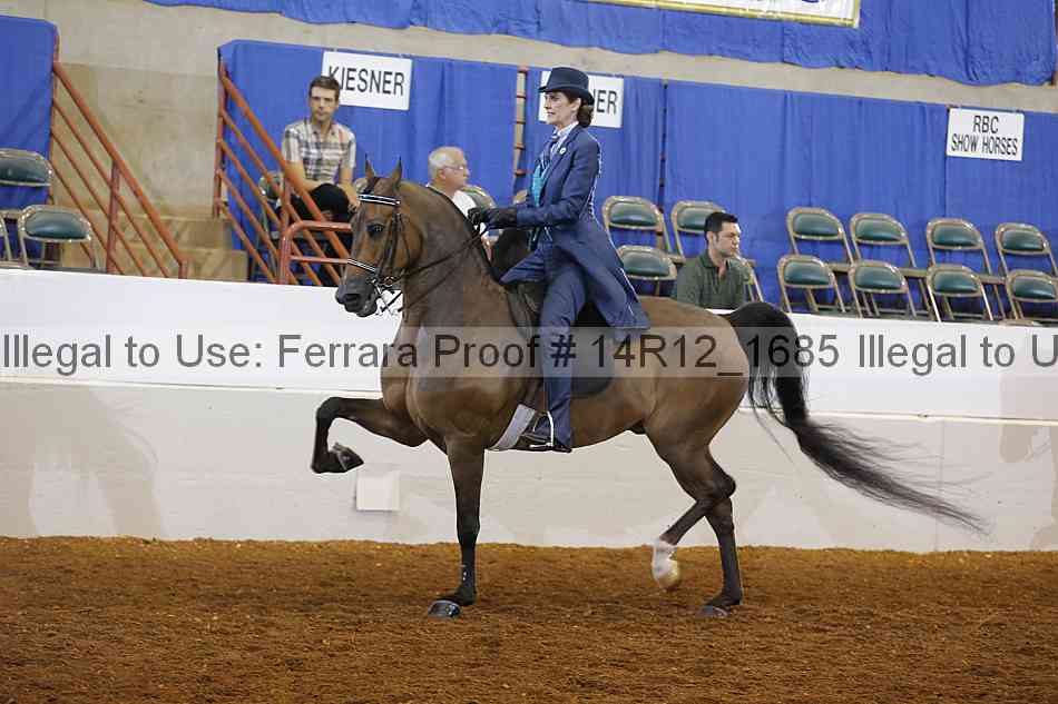Proof Number 14r12_1685