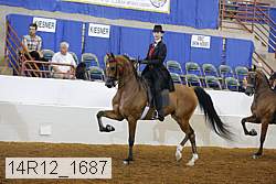 14r12_1687 thumbnail