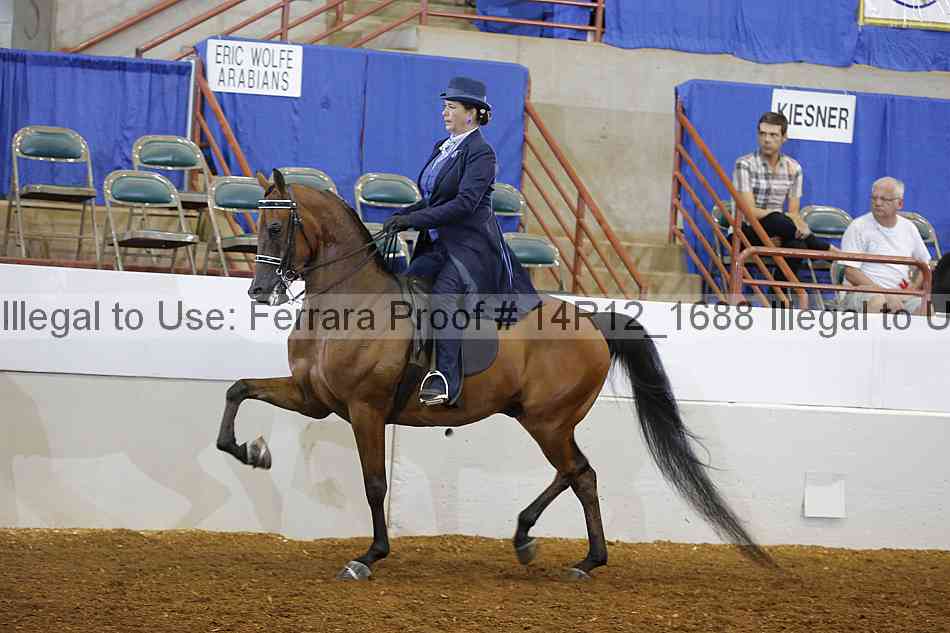 Proof Number 14r12_1688