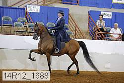 14r12_1688 thumbnail