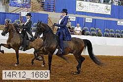 14r12_1689 thumbnail