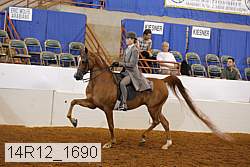 14r12_1690 thumbnail