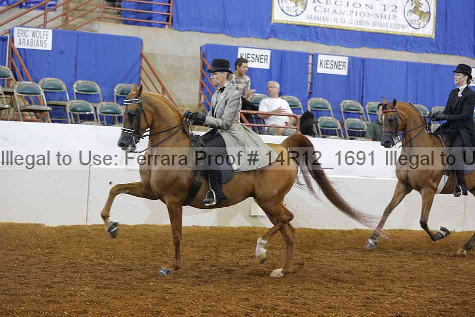 Proof Number 14r12_1691