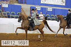 14r12_1691 thumbnail
