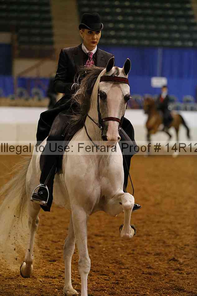 Proof Number 14r12_1693