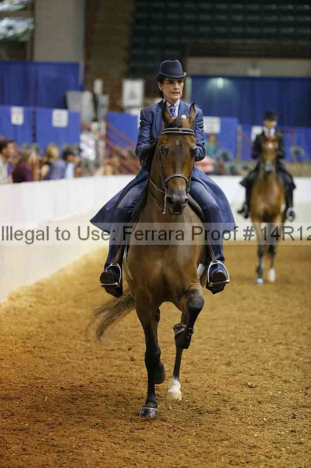 Proof Number 14r12_1695