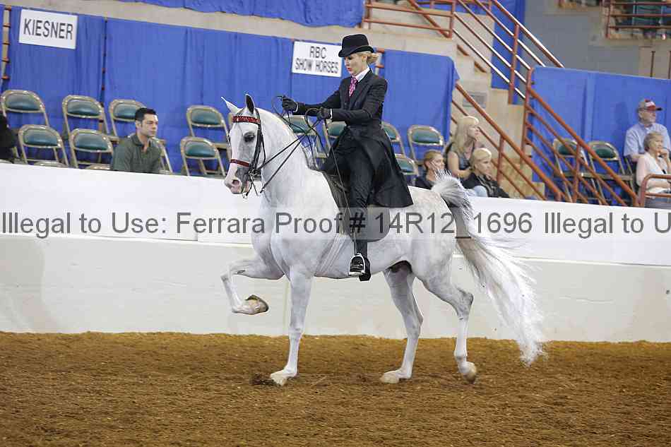 Proof Number 14r12_1696