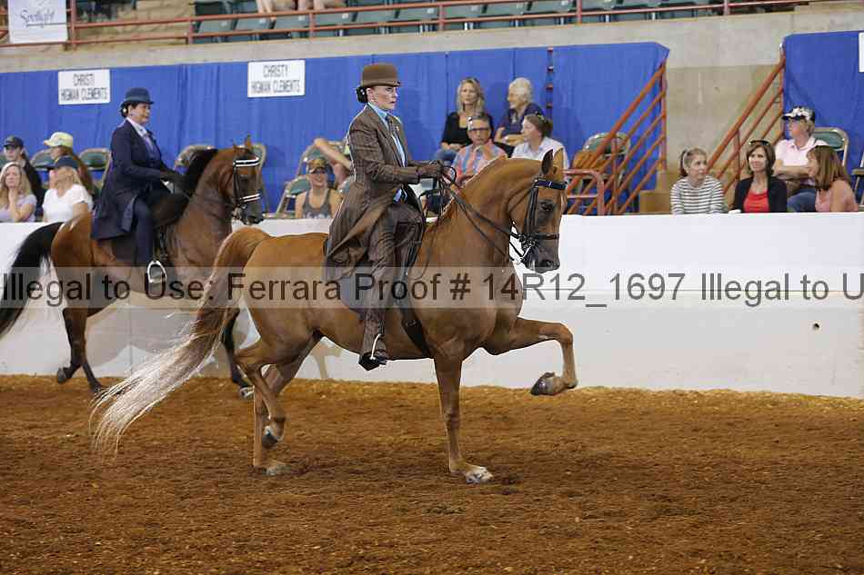 Proof Number 14r12_1697
