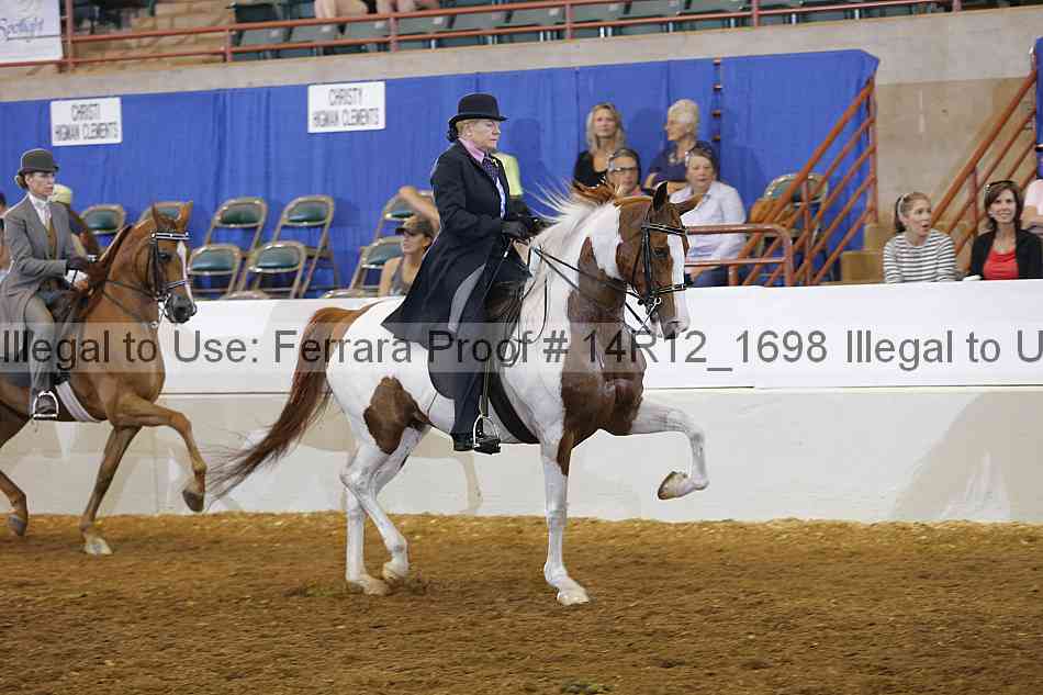 Proof Number 14r12_1698