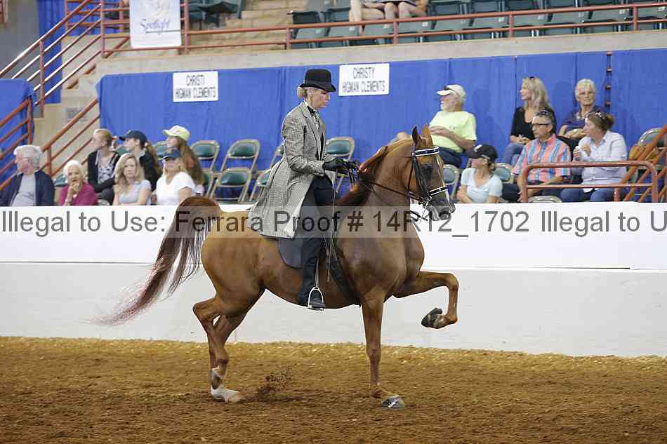 Proof Number 14r12_1702